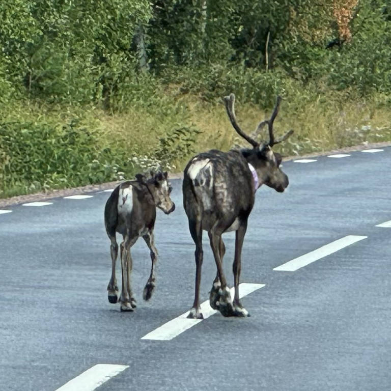 Deinen Weg zu dir finden